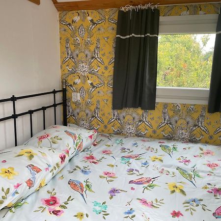 Pipowagen Mamaloe Bed & Breakfast Kesteren Exterior photo